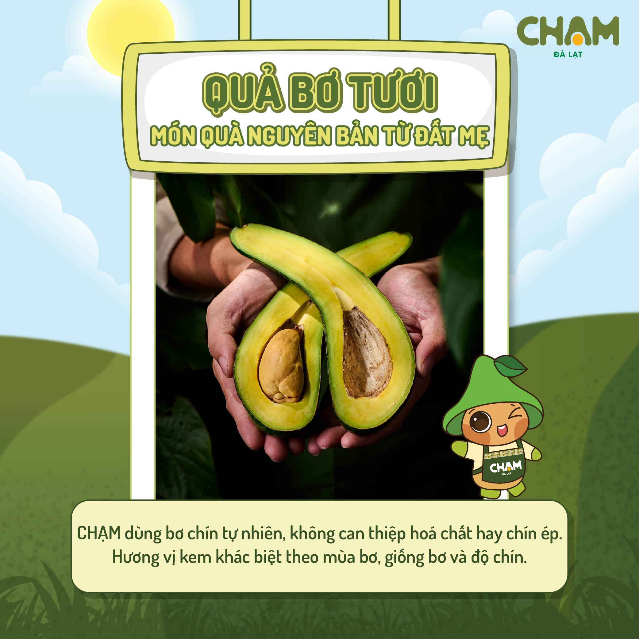 Kem bo bi dang 2