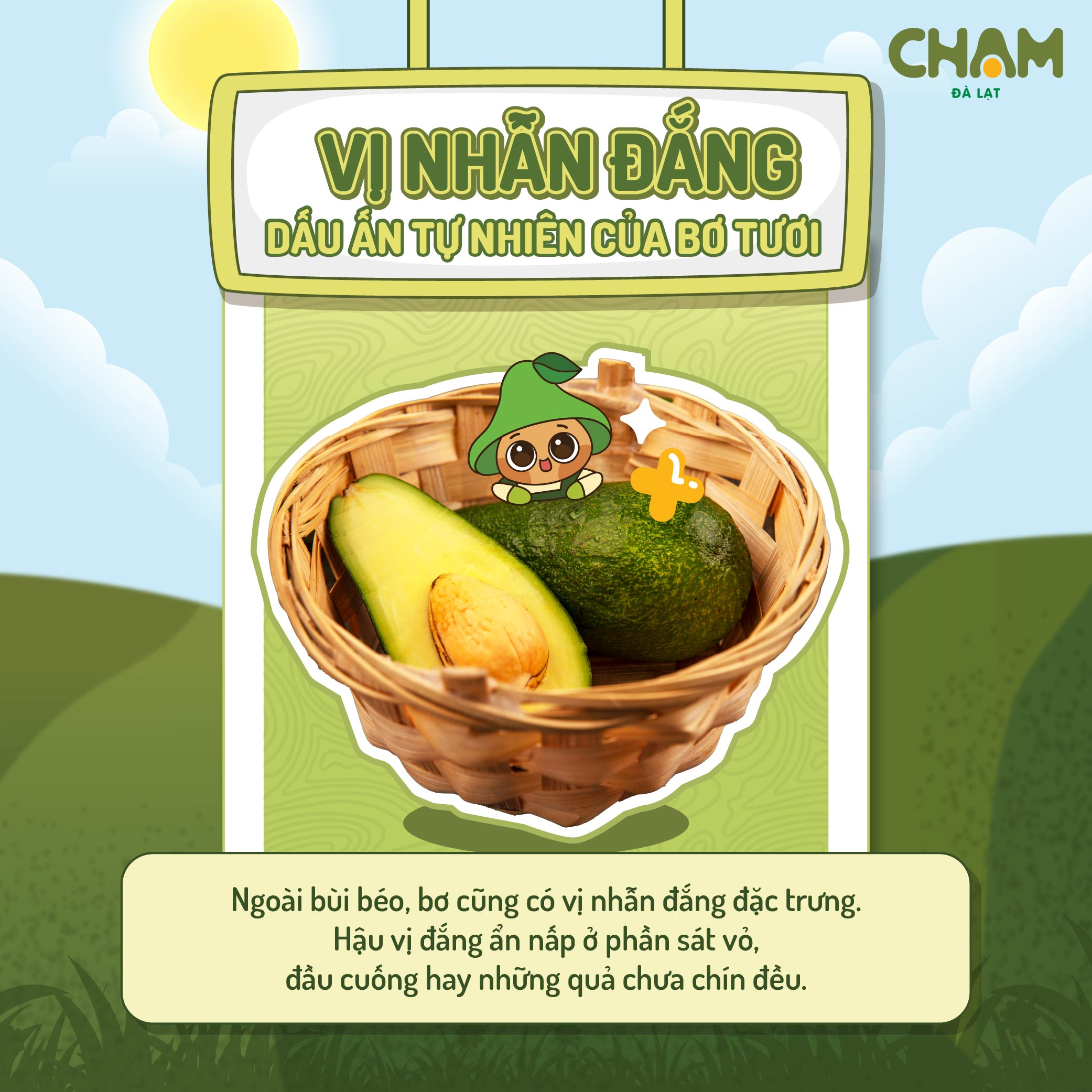 Kem bo bi dang 3