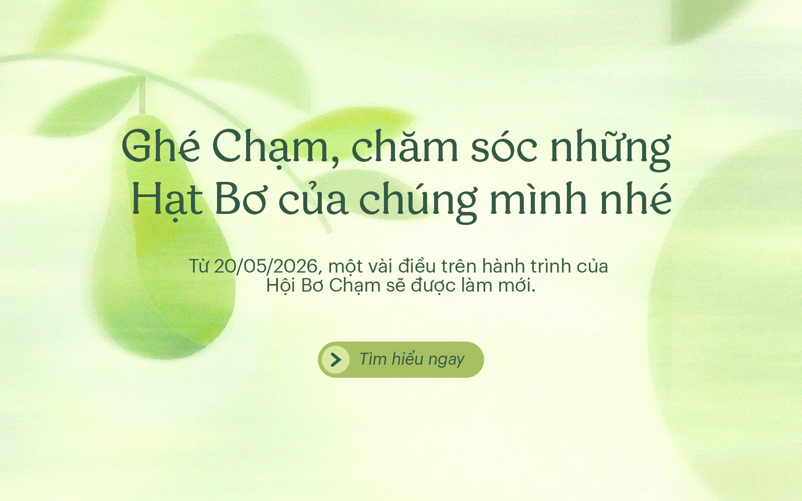 thong bao reset diem tich luy