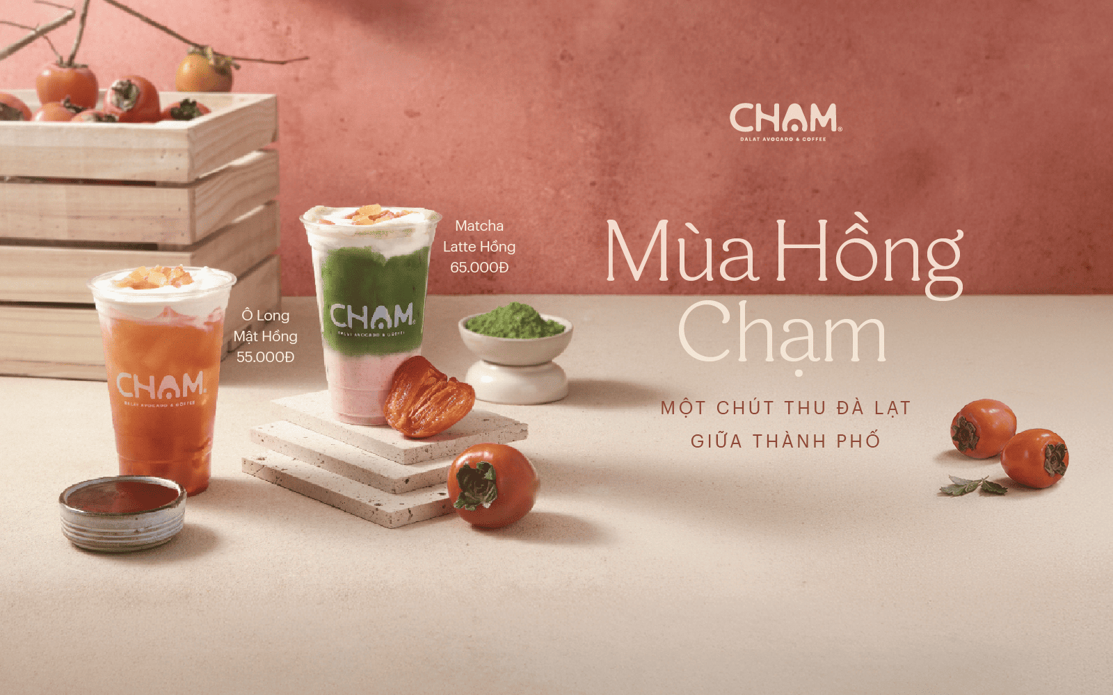 mua hong cham da lat