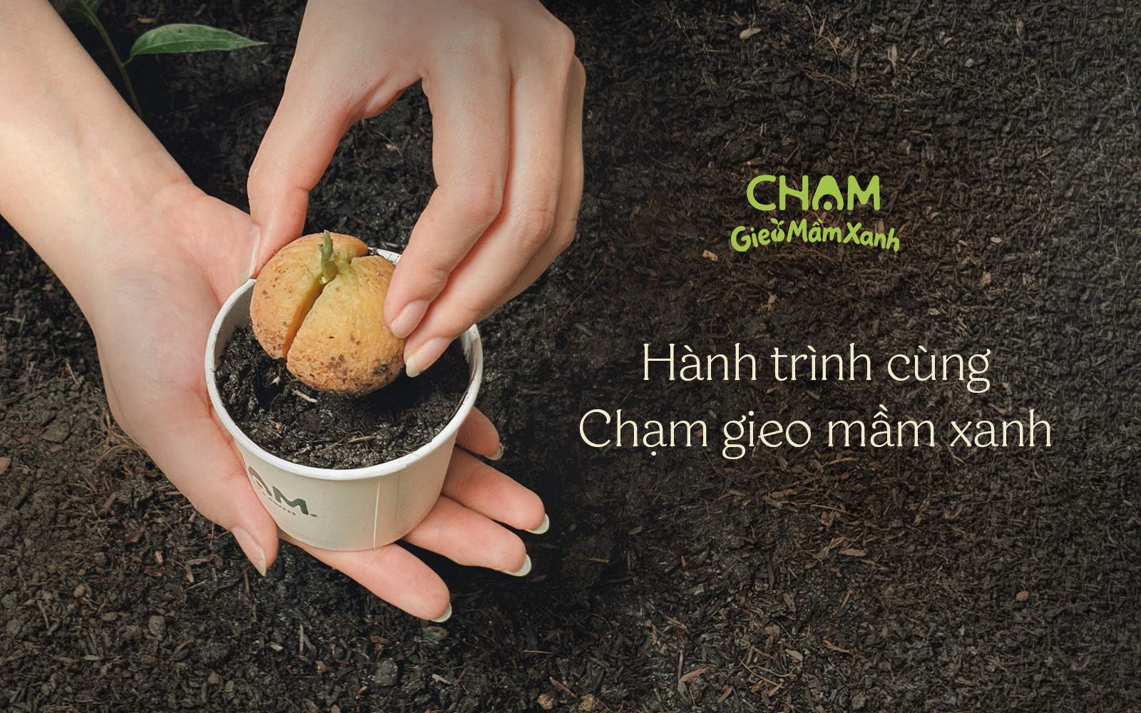 CGMX BANNER